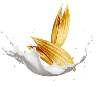 Proteínas do Leite e Aveia