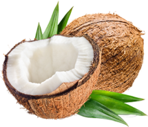 Coco